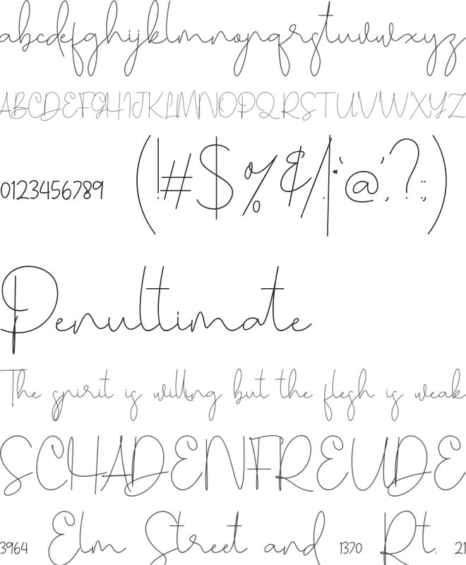 Honey Bunney Script font preview