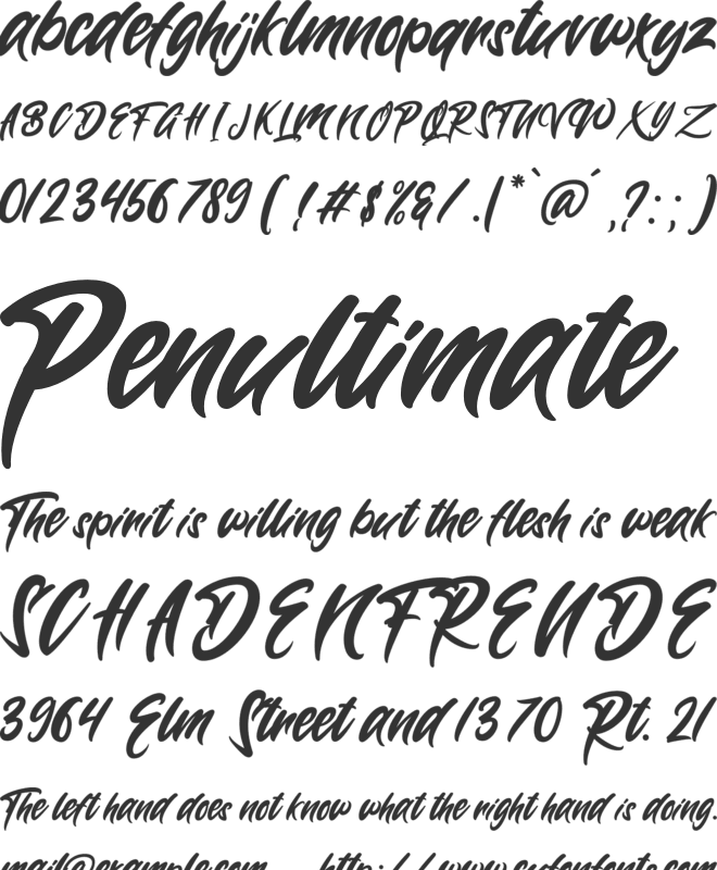 Wynter Sandy font preview