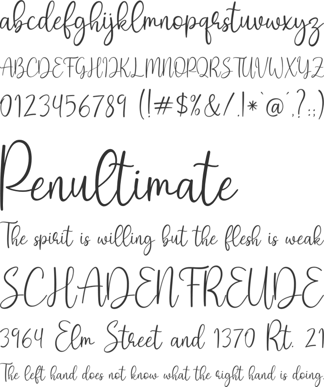 Shmoopie Trial font preview