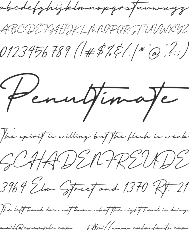 Trully Signature Trial font preview
