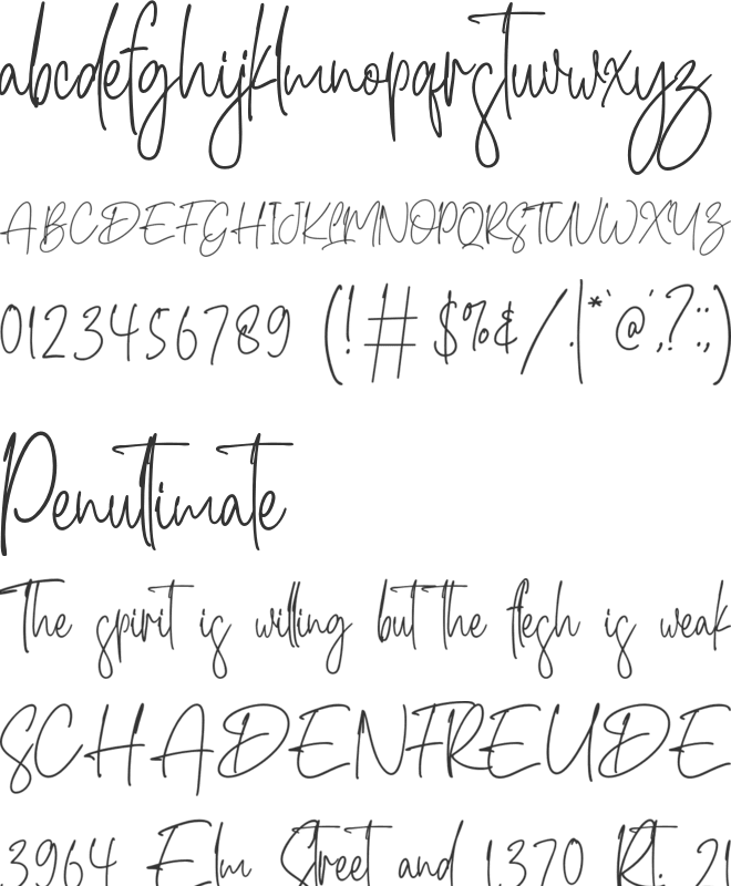 Matilda Signature font preview