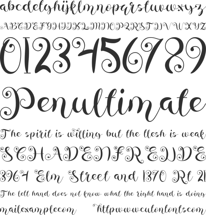 amellya font preview