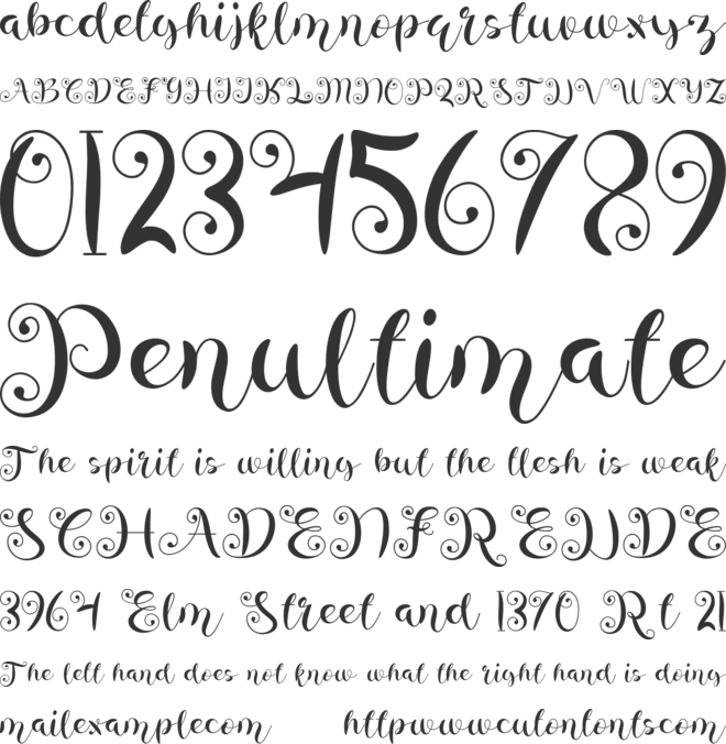 amellya font preview
