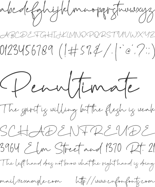 Brigidha font preview