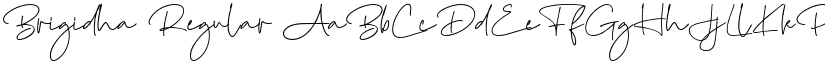 Brigidha Regular font