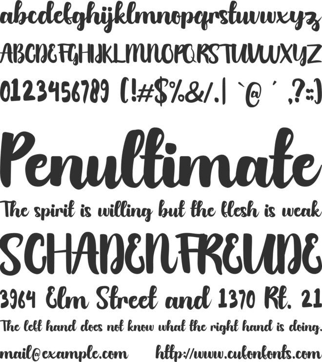 Austhatic Script font preview
