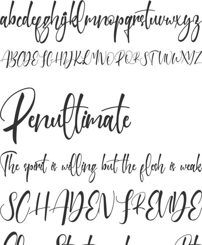 Sanoraya FREE font preview