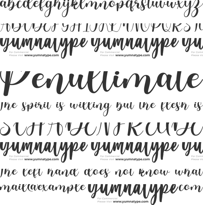 Olyndia Personal Use font preview