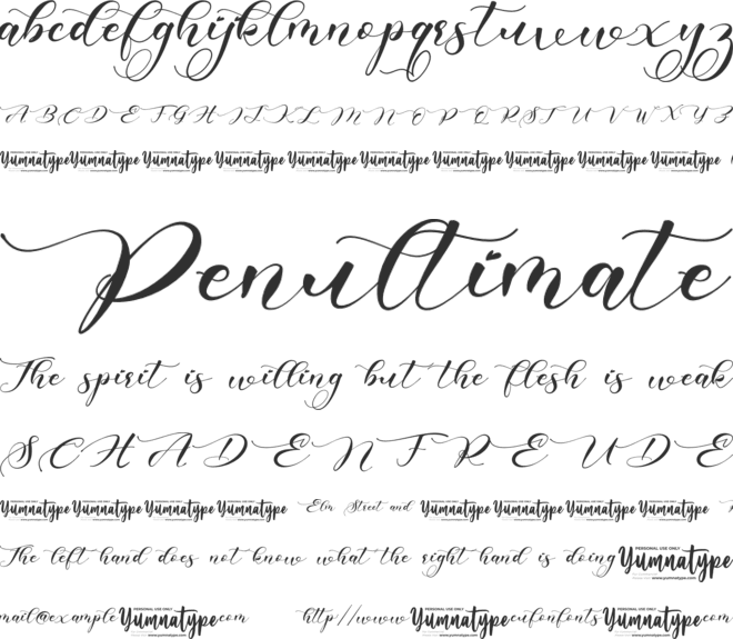 Southern Personal Use font preview