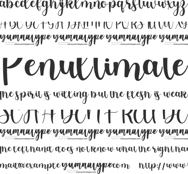 Lovely Dream Personal Use font preview