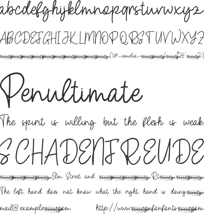 Amelia Script Personal Use font preview