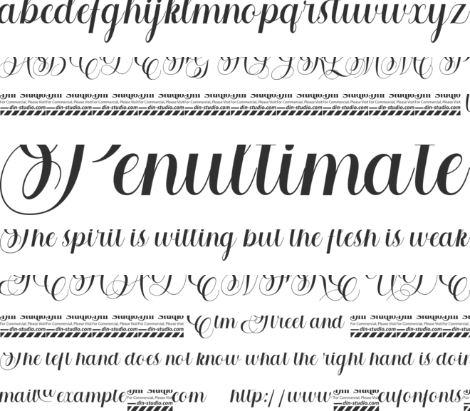 Voyntea Personal Use font preview