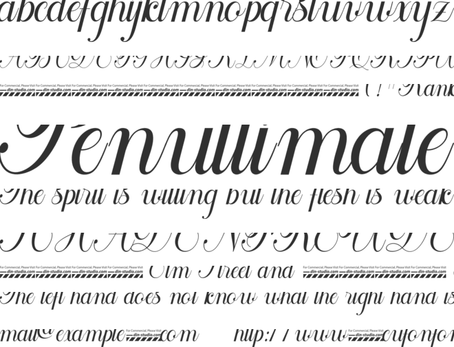 Rankfine Personal Use font preview
