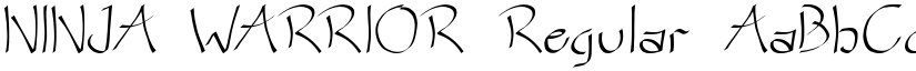 NINJA WARRIOR Regular font