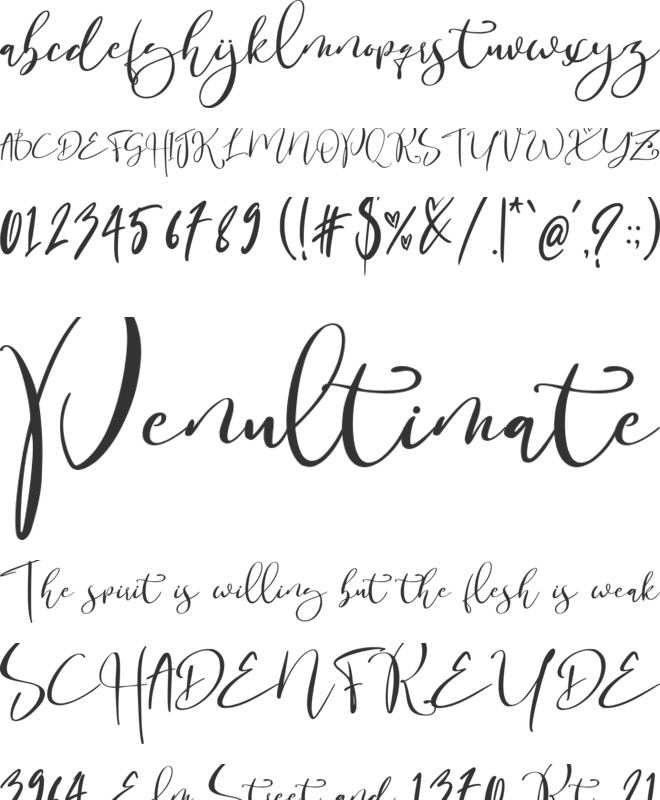 Romance Privilege font preview