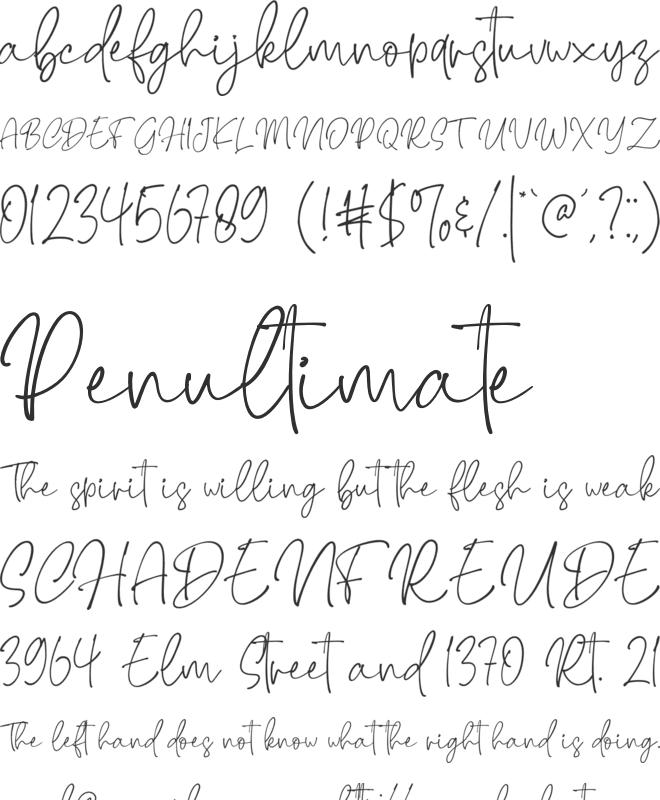 Brendria Signature font preview