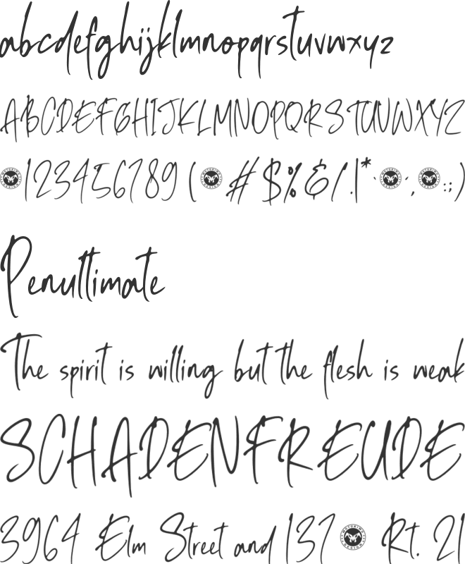 Ballpoint Rush font preview