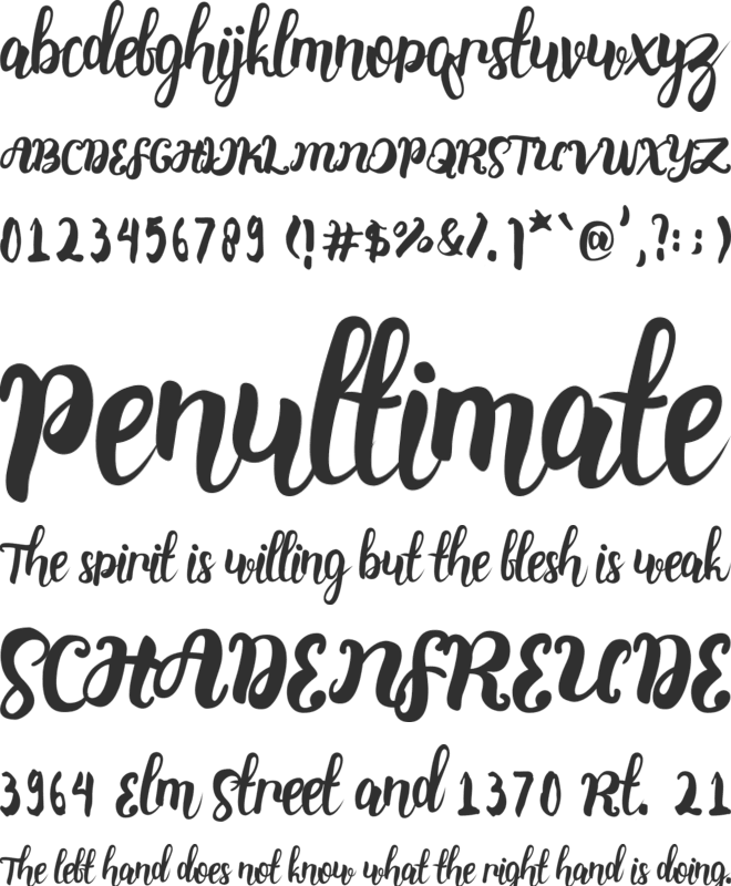 stainella script font preview