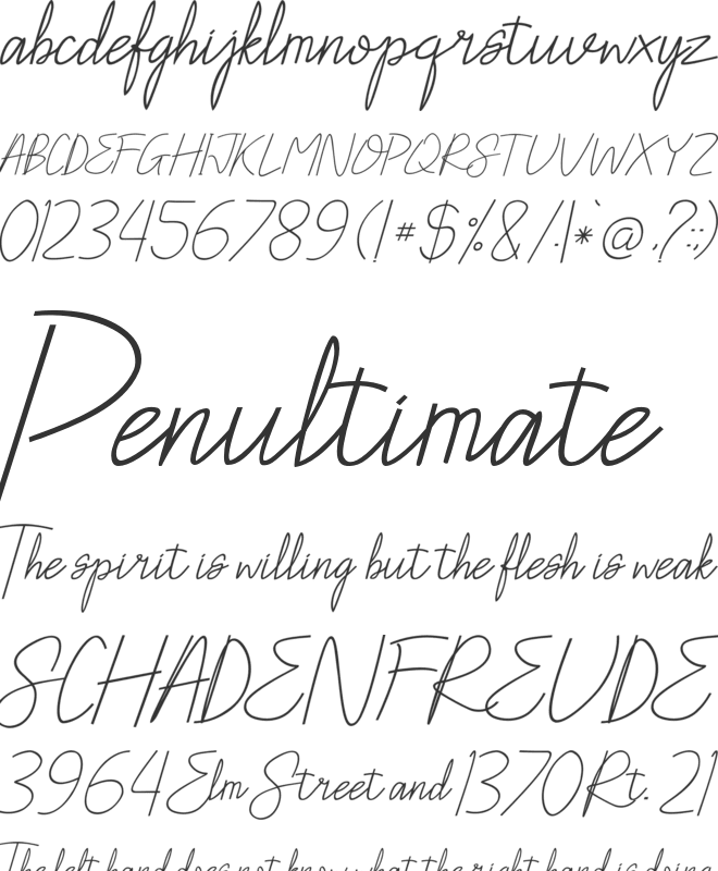 Antallya font preview