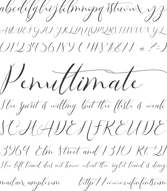 Misterlove font preview