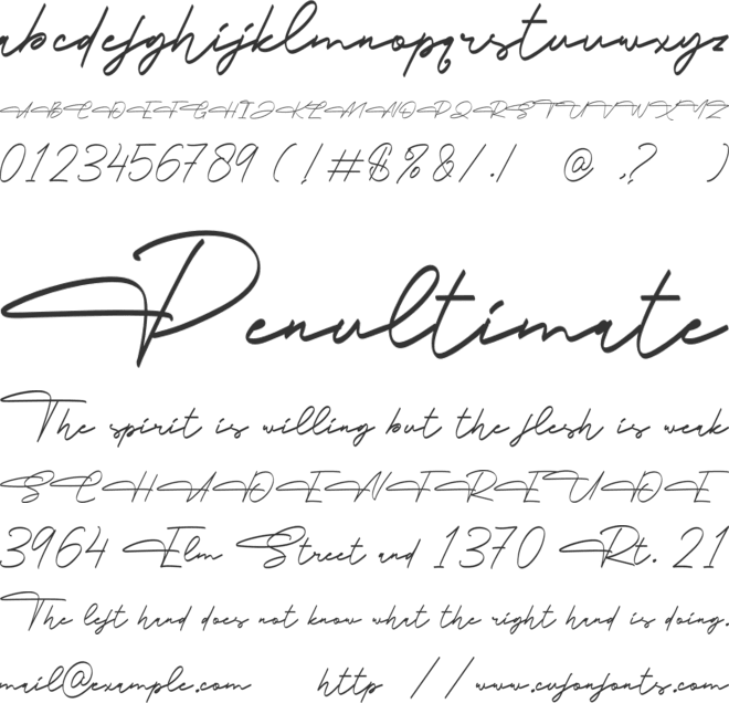 Belgiante font preview