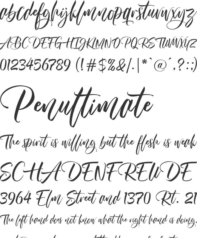 Almere Script font preview