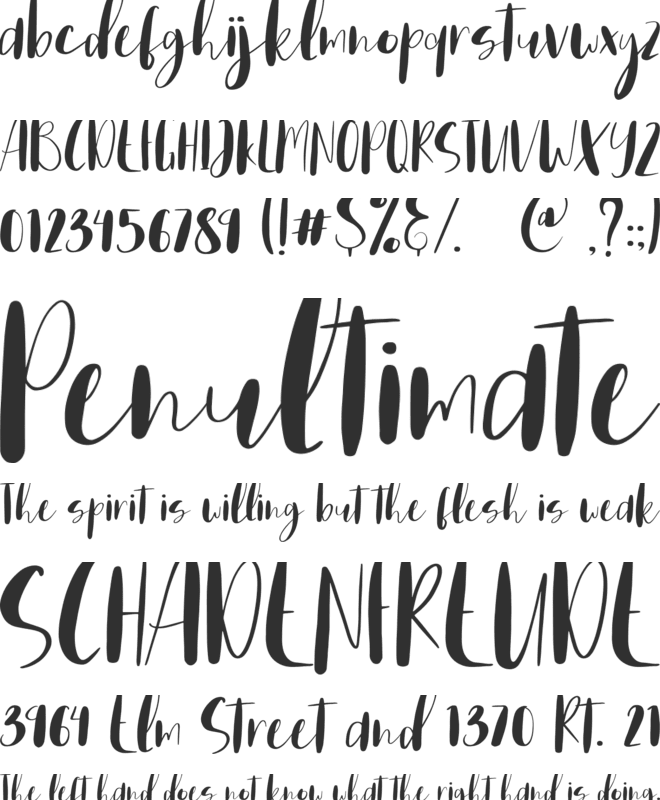 Home Spring font preview