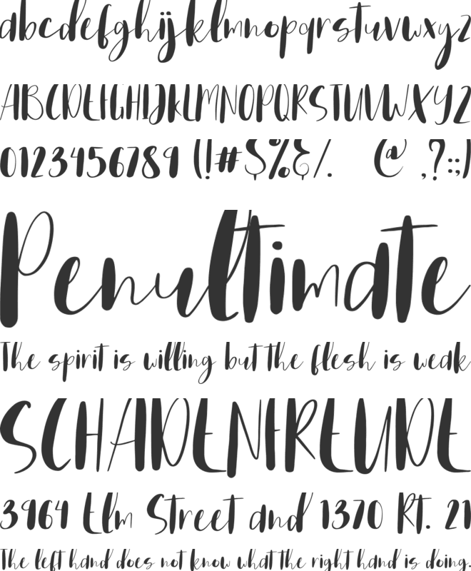 Home Spring font preview