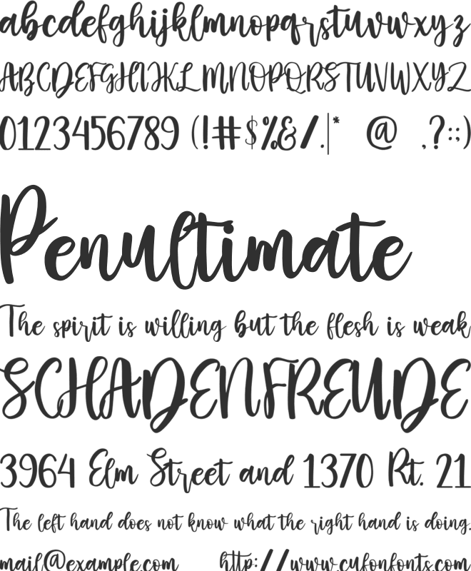 Casey Martin font preview