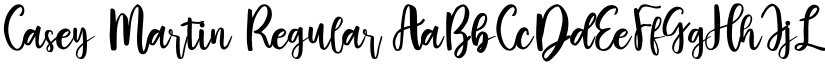 Casey Martin Regular font