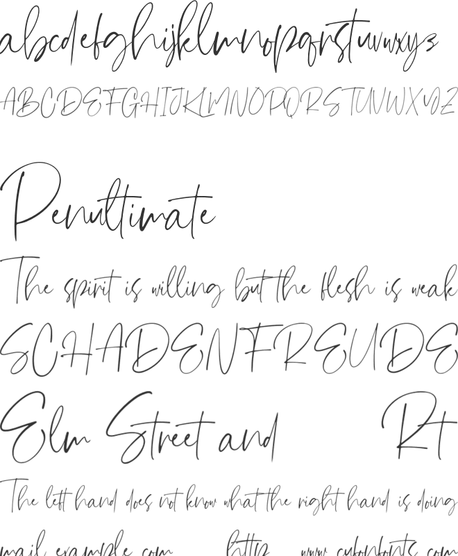 Steven mattew font preview