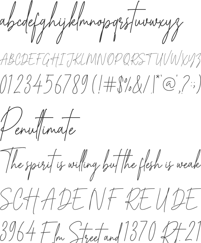 Winsterday font preview