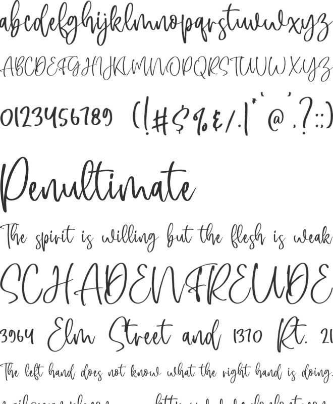 Singaparna Script font preview