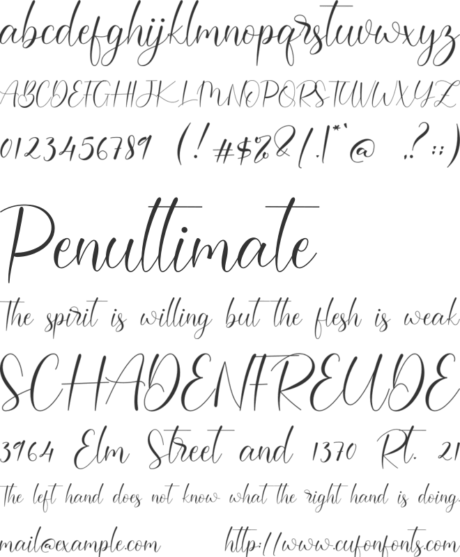 Darcella font preview
