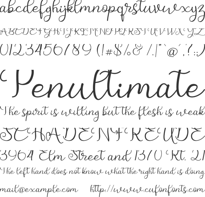 betsie honey font preview