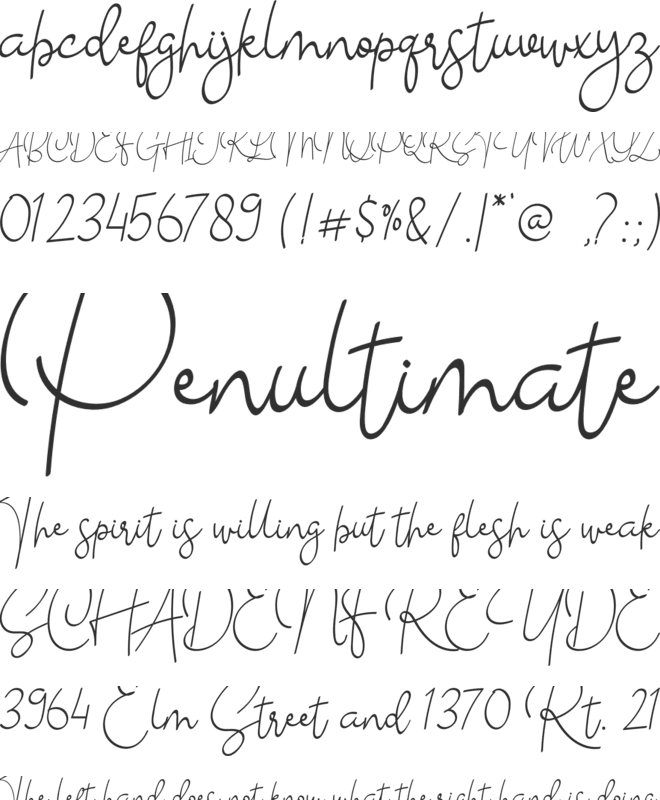 The School font preview