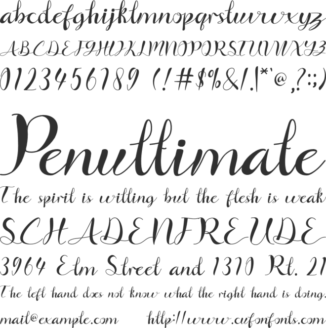 Signfly font preview