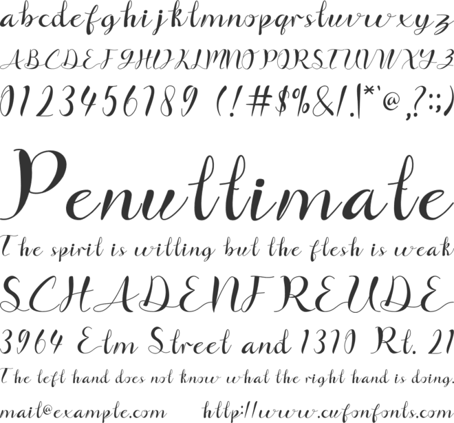 Signfly font preview