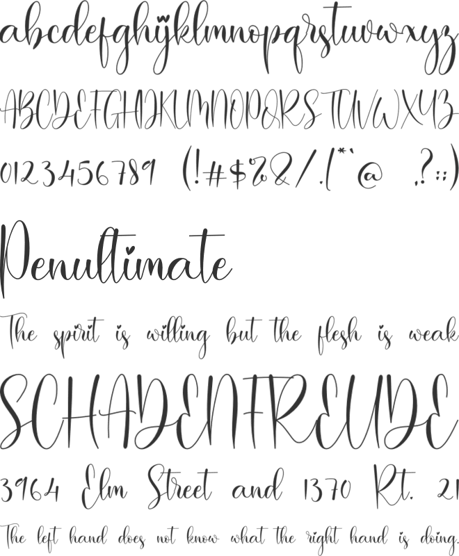 Baiskey font preview