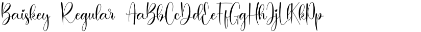 Baiskey font download