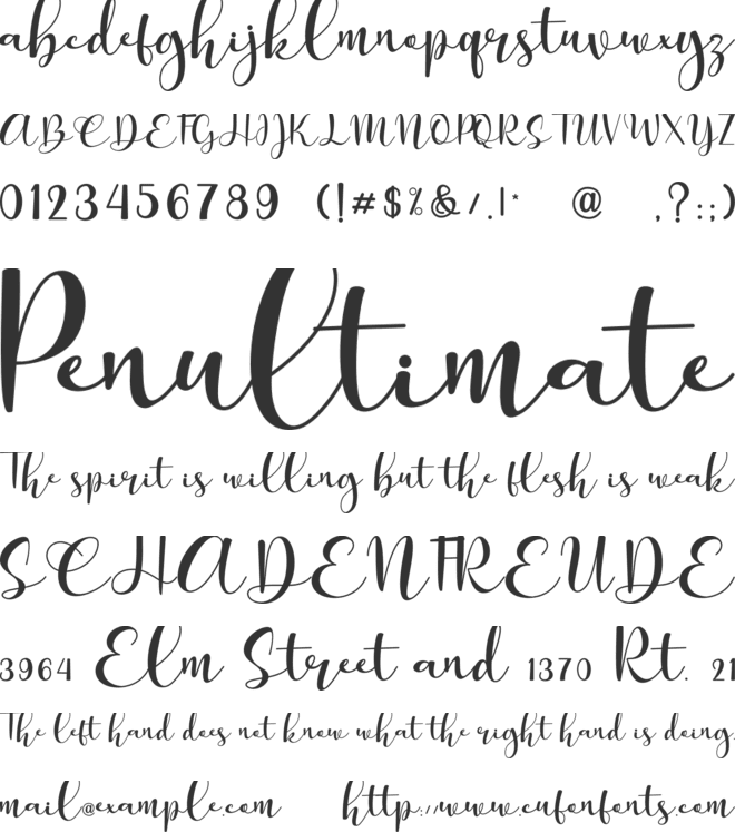 Sunflowers font preview