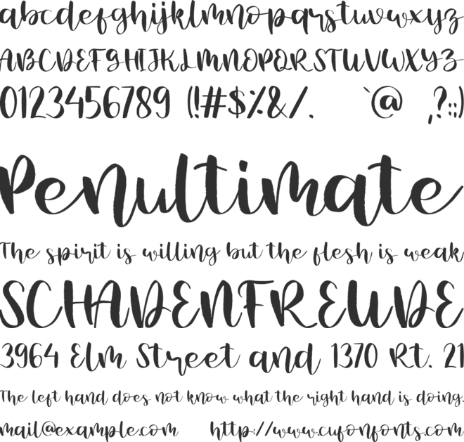 Summer Time font preview