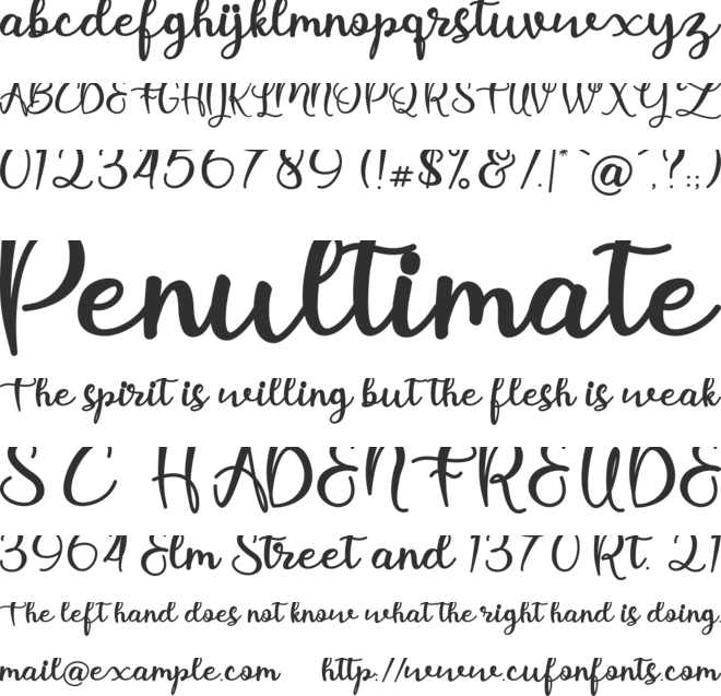 holy dolly font preview