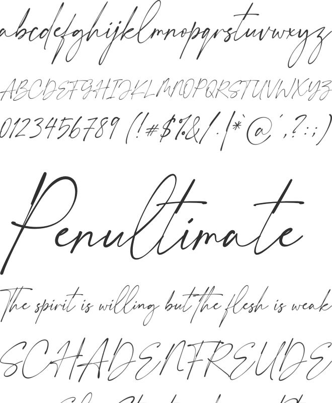 My Everything font preview