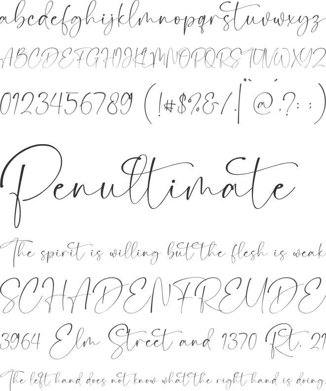 Camigata font preview