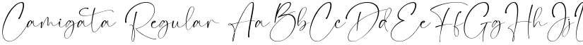 Camigata font download
