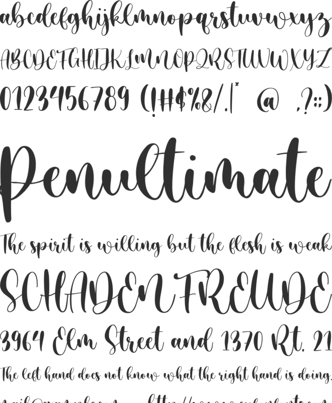 Warmesty font preview