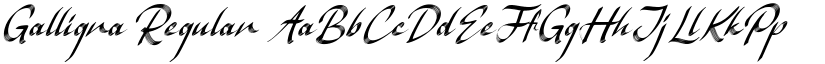 Galligra Regular font
