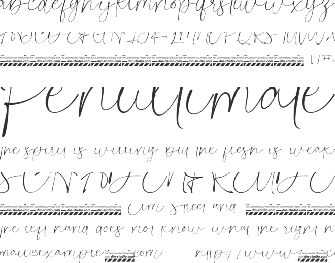 Fiosthic Personal Use font preview