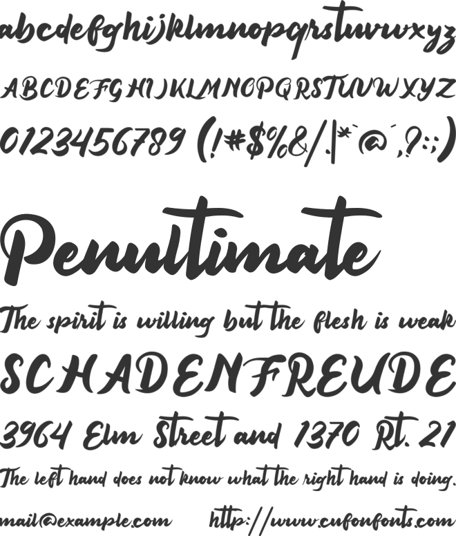 Rosacfild font preview